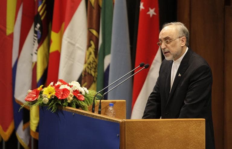 Iranian Foreign Minister Ali Akbar Salehi delivers a speech to an expert-level meeting of the Non-Aligned Movement, NAM, in Tehran, Iran, Sunday. Iran opened a world gathering of self-described nonaligned nations Sunday with a slap at the vast powers of the U.N. Security Council and an appeal to rid the world of nuclear weapons even as Tehran faces Western suspicions that it is seeking its own atomic arms. (AP)