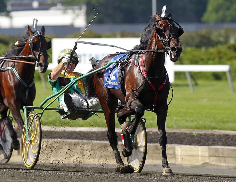 Market Share (2), driven by Tim Tetrick, heads to the finish line to win the Hambletonian horse race for trotters at Meadowlands Race Track in East Rutherford, N.J., in August. (AP)