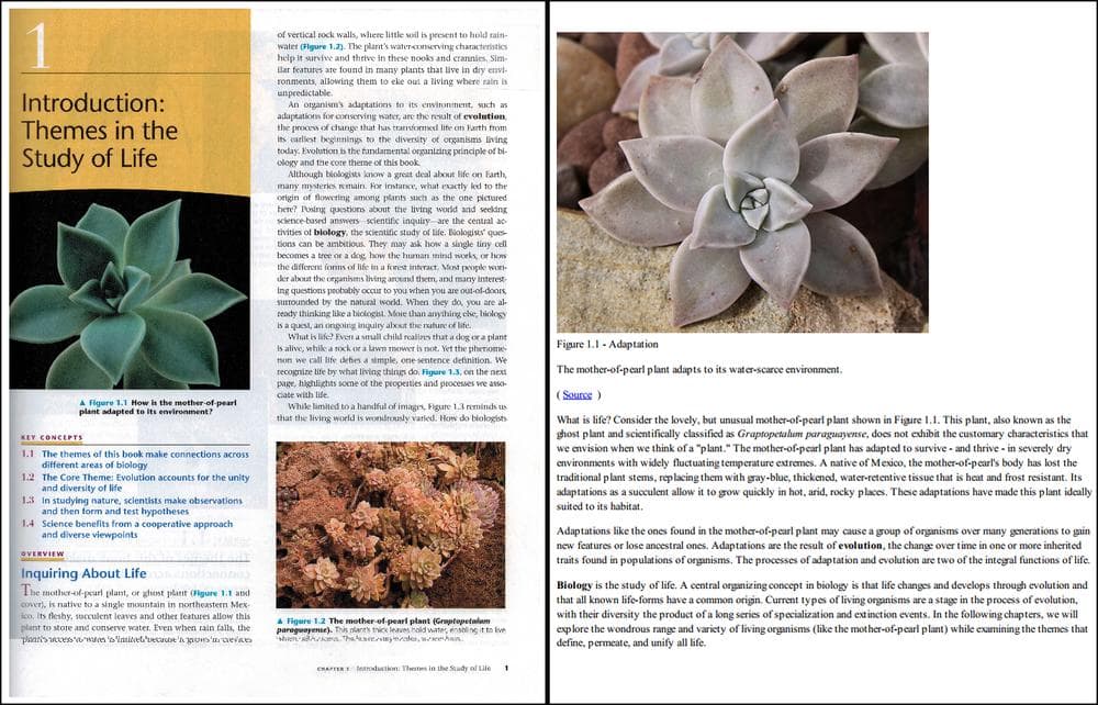 Boston startup Boundless has created free virtual textbooks online, right, to substitute for commonly assigned, expensive texts such as Campell Biology, left. (Click to enlarge.)