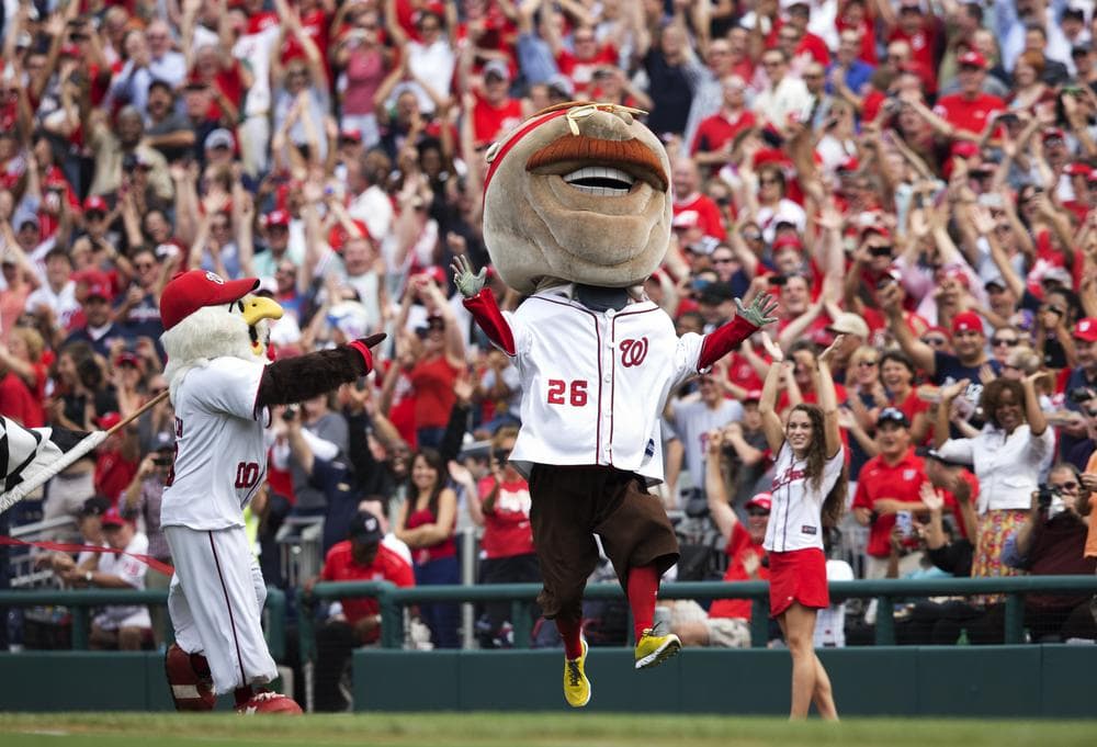 Teddy Roosevelt celebrates after his first-ever victory in the history of the president's race at Nationals Park. (AP Photo/Manuel Balce Ceneta)