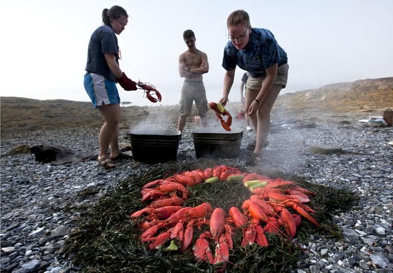 In this photo made Thursday, August 2, 2012, Maggy Mulhern, left, and Katharine Mead, prepare a lobster bake for dinner on the shore of a small island in Penobscot Bay Maine. (AP)