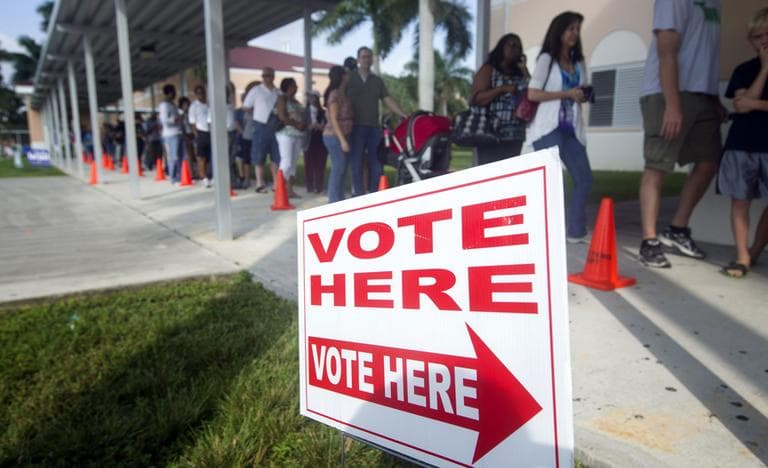 People stand in line to vote early on Sunday in Pembroke Pines, Fla. (AP/J Pat Carter)