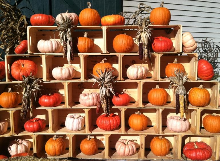 A pyramid of pumpkins at Stonewall Kitchen in York, Maine. (Kathy Gunst/Here & Now)