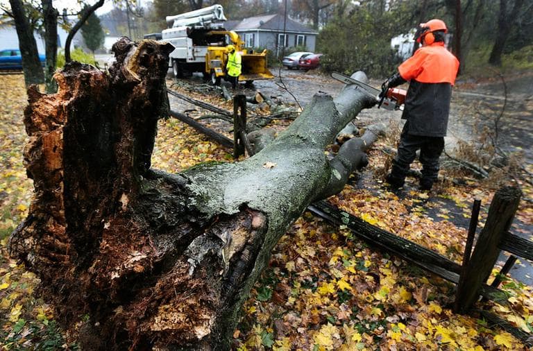 A worker clears a tree dropped by the high winds in Shrewsbury, Mass., Monday, Oct. 29, 2012. (AP Photo/Charles Krupa)