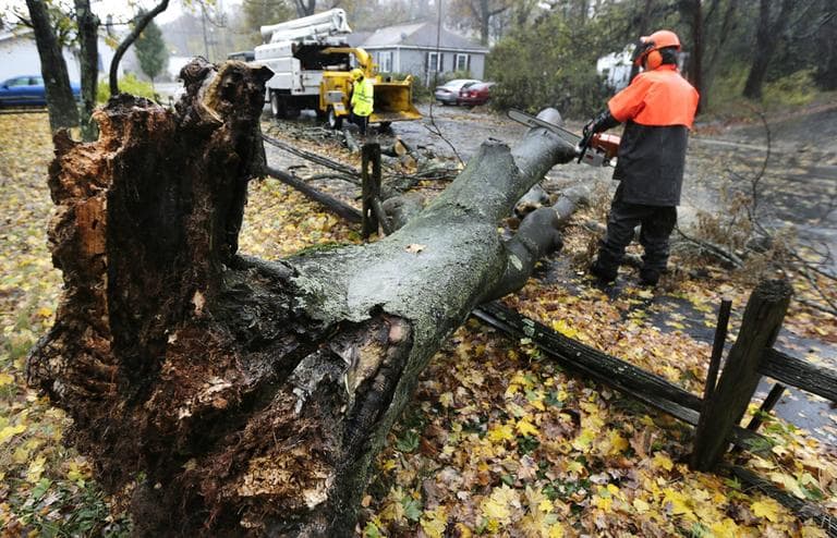 A worker clears a tree dropped by the high winds prior to landfall of Hurricane Sandy in Shrewsbury, Mass. on Monday. (Charles Krupa/AP)