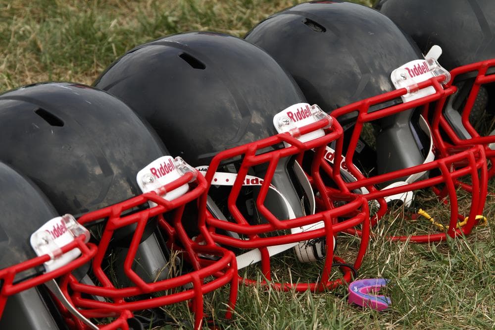 Nine men were arrested in Florida this week after law enforcement officials uncovered a gambling ring centered around pee wee football. (Gene J. Puskar/AP)