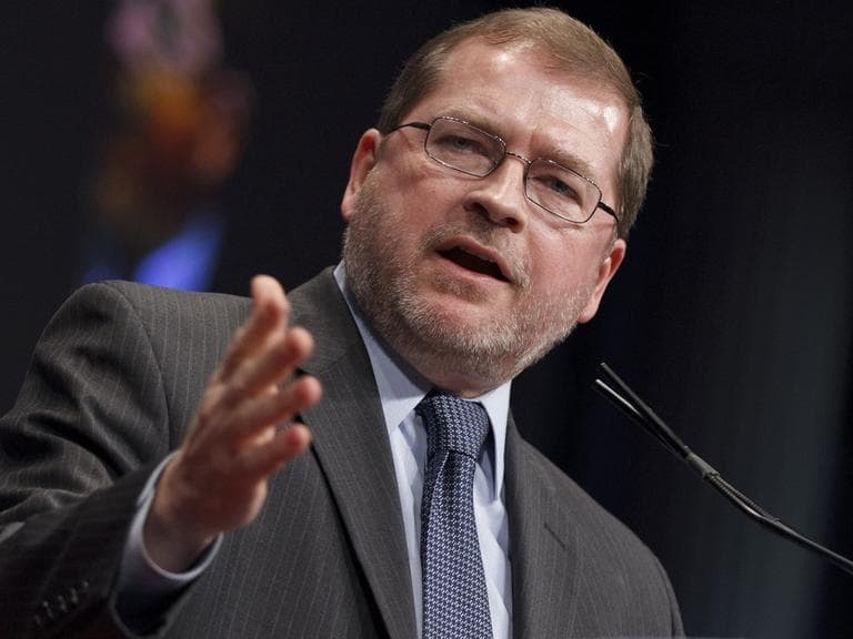 Anti-tax activist Grover Norquist, president of Americans for Tax Reform, addresses the Conservative Political Action Conference in Washington in February 2012. (J. Scott Applewhite/AP)