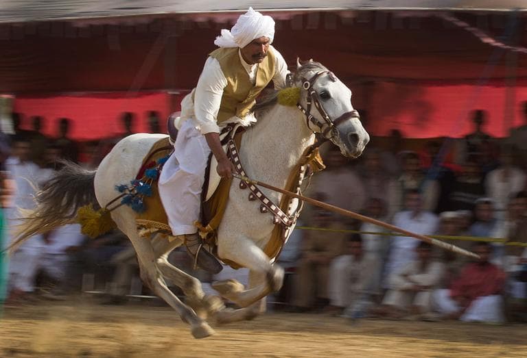 A Pakistani rides a horse at a fast pace towards a peg during a tent pegging event at a spring festival in Islamabad on Friday, March 16, 2012. (AP Photo/B.K. Bangash)