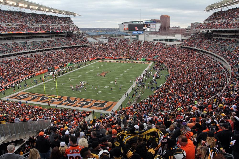 Fans fill Paul Brown Stadium during a game between the Cincinnati Bengals and the Pittsburgh Steelers in November. The stadium required almost $500 million in public funding. (Tom Uhlman/AP)