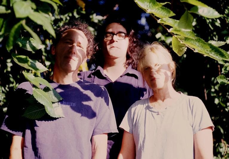 The members of Yo La Tengo, from left, Ira Kaplan, James McNew and Georgia Hubley. (Carlie Armstrong)