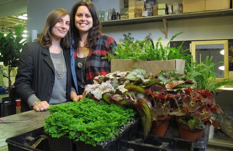 The duo behind Foret likes to use found containers and unusual living plants like bromeliads or succulents from local farms for their floral designs. (Andrea Shea/WBUR)