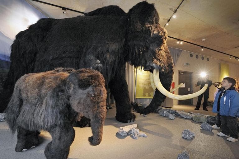 Children watch a giant mammoth and a calf model at the Neanderthal Museum in Mettmann, Germany. (AP)