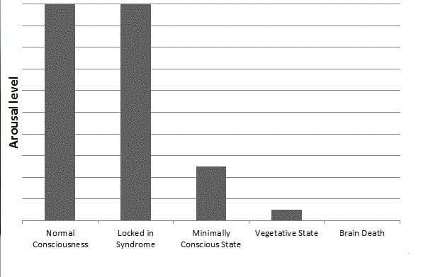 &quot;Brain function in coma, vegetative state, and related disorders&quot;. The Lancet Neurology 3 (9): 537–546. | date 2011-11-30 | (Neurowiki via Wikimedia Commons) 