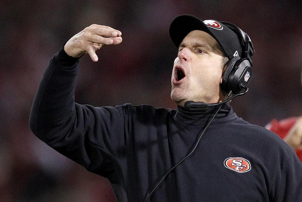 Before following his older brother into the NFL head coaching ranks, Jim Harbaugh considered a career as a poet (just kidding). (Tony Avelar/AP)