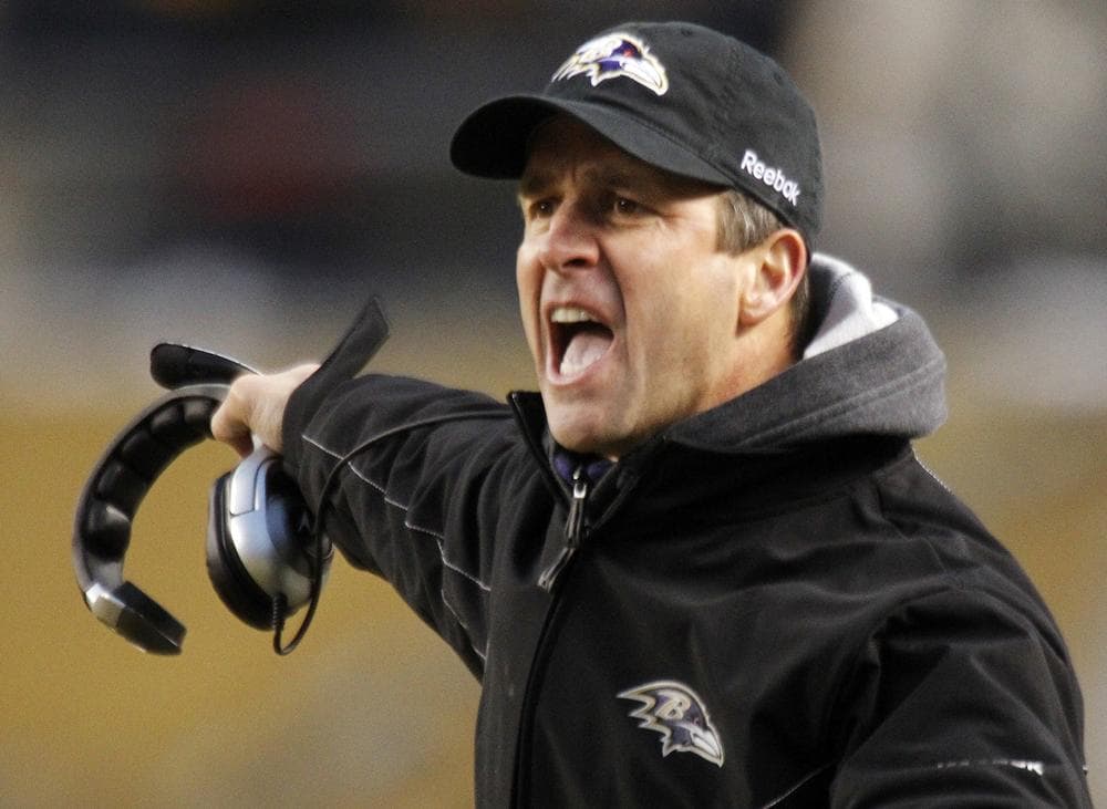 Some might say that the Baltimore Ravens' run to the Super Bowl was...poetic. (Keith Srakocic/AP)