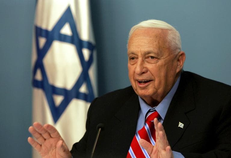 Israeli Prime Minister Ariel Sharon speaks during a press conference at his Jerusalem office November 2005. Seven years after a devastating stroke, Sharon remains in a coma. (Emilio Morenatti/AP)
