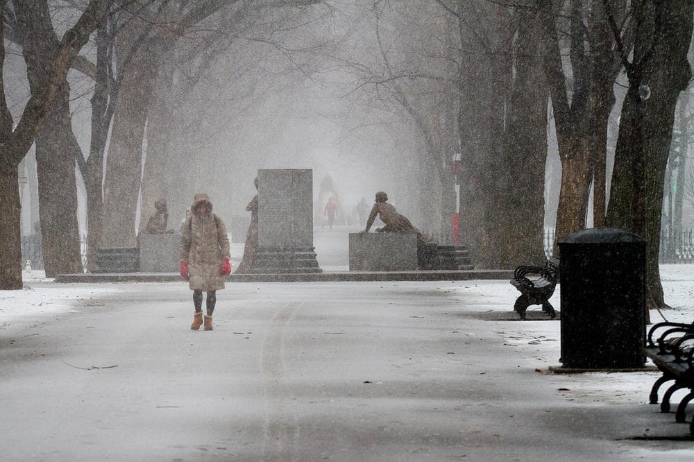 A person trudges through Boston&#039;s Emerald Necklace Friday afternoon. (Jesse Costa/WBUR)