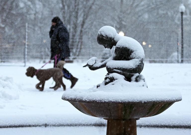 A man walks his dog past the snow covered &quot;Boy and Bird&quot; fountain in the Boston Public Garden in Boston, Friday. (Charles Krupa/AP)