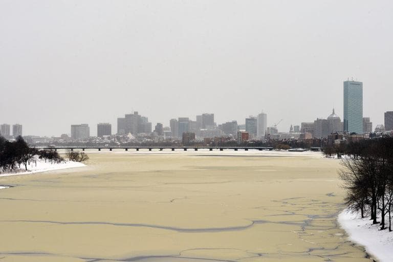 Ice on the Charles River. (Alex Kinsbury/WBUR)