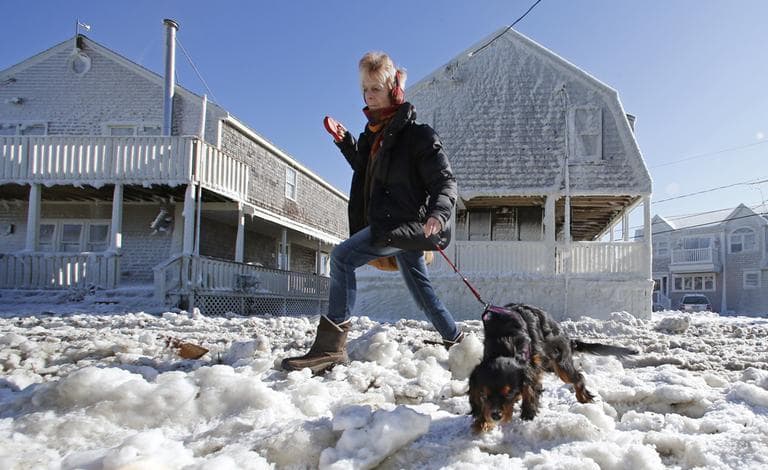 Marj Bates and her dog Simon walk past houses and a street coated with frozen sea water in Scituate on Sunday. The coastal town was hit with a storm surge during a fierce winter storm. (Charles Krupa/AP)