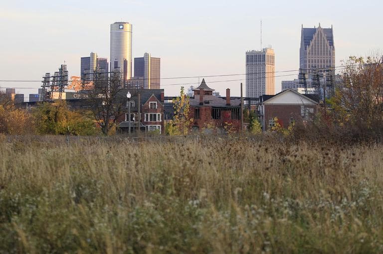 This Oct. 24, 2012, photo shows an empty field north of Detroit's downtown. (AP)