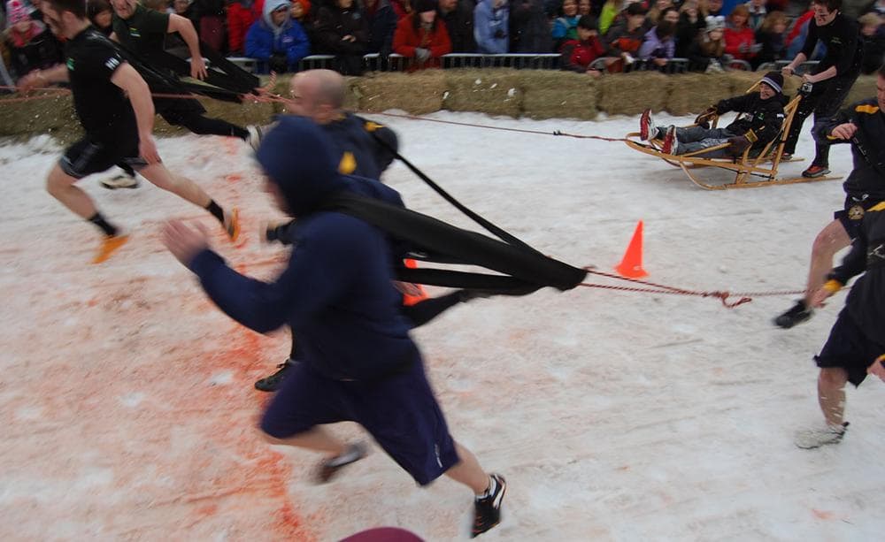 The Uppercut Landscaping human dog sled team (at top) beats representatives of the Lowell Police Academy to the finish line. (Greg Cook)
