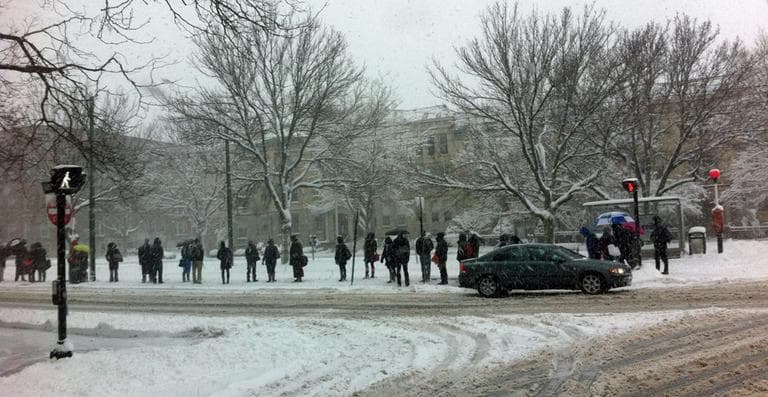 A crowd waits for the MBTA green line trolley on Beacon Street in Brookline Friday morning. (Thomas Melville/WBUR)