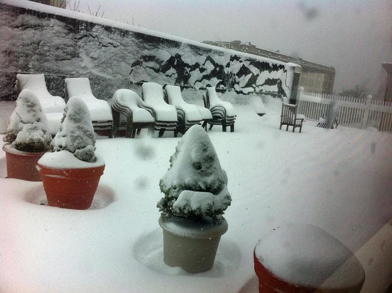 WBUR's roof patio is covered in snow Friday morning. (Thomas Melville/WBUR)