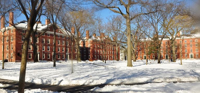 Harvard Yard is pictured in winter 2009. (chensiyuan/Wikimedia Commons)
