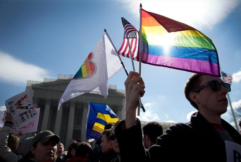 Demonstrators in front of the Supreme Court in Washington, Wednesday, March 27, 2013. (AP)