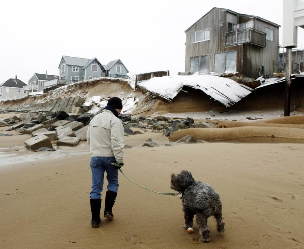 John March walks his dog Grommit past damaged houses along the beach in Plum Island in Newbury, Mass., Saturday, Feb. 9, 2013. (AP Photo/Winslow Townson)