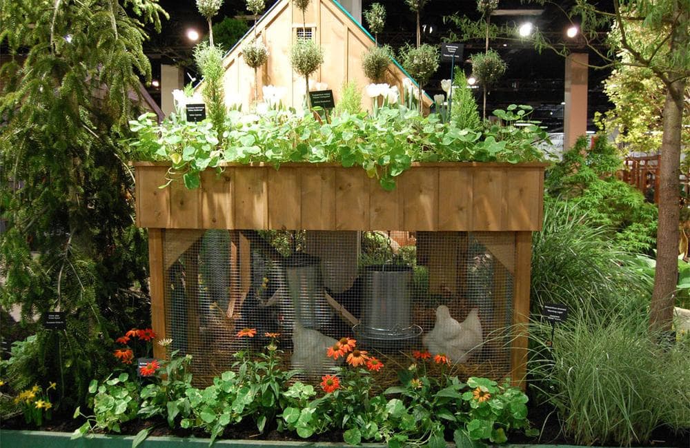 Forced plantings sprout on and around a chicken coop designed by Miskovsky Landscaping of Falmouth. (Greg Cook)
