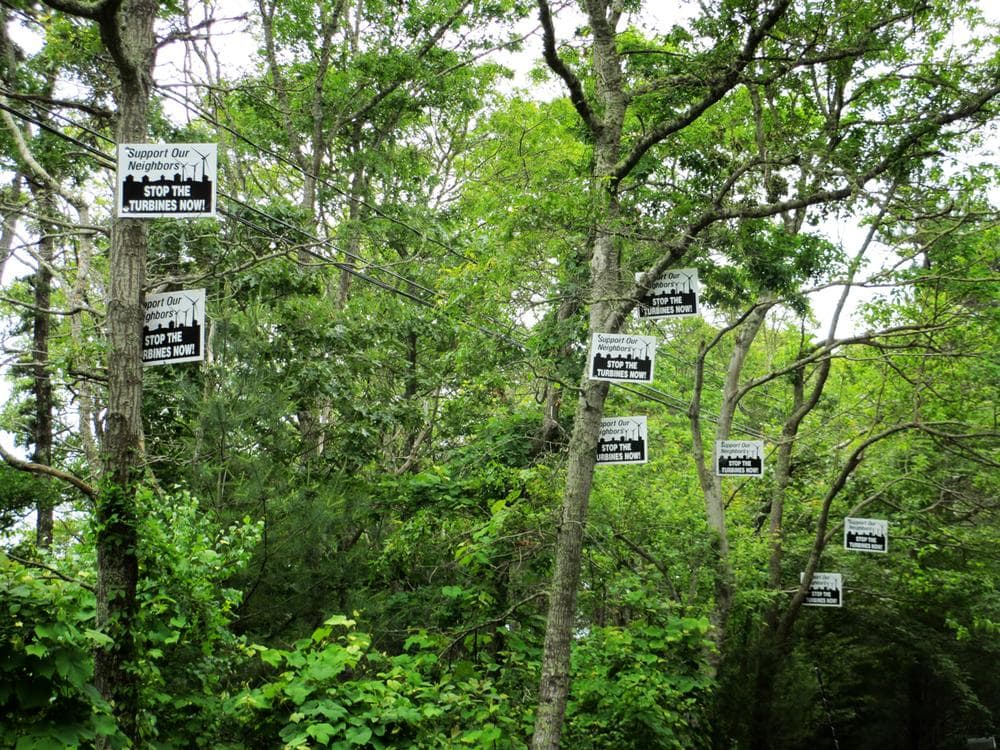 Neil Andersen hung signs all over the trees and utility poles along the road in back of his Falmouth home. He says the pulsations from wind turbines have caused numerous health problems. (Kathleen McNerney/WBUR)
