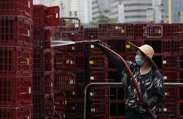 A worker cleans empty cages used for transporting chickens, to prevent an outbreak of H7N9 infections at a wholesale poultry market in Hong Kong Monday, April 8, 2013. (Kin Cheung/AP)