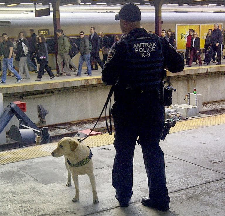 Amtrak security.