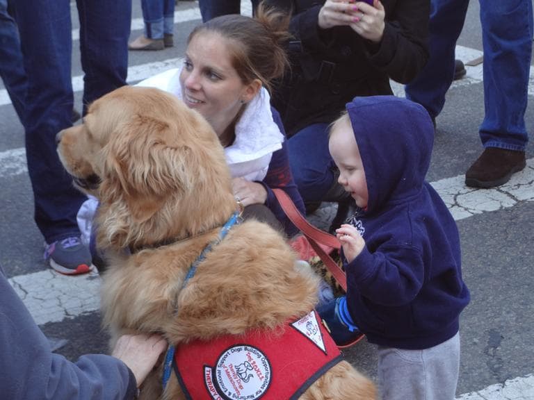 A few comfort dogs, which help people cop with stress, were part of the crowd at the interfaith service. Here 13-month-old Aiden Becker pets the dog as his mother, Casey Becker, looks on. (Amanda Art/WBUR)