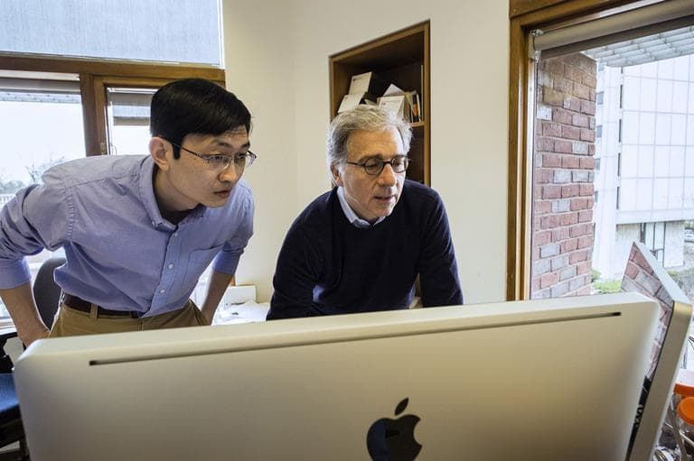 Harvard Stem Cell Institute Co-Director Doug Melton, right, and Peng Yi, a post doctoral fellow in his lab, review data from recent experiments in Melton's lab in Cambridge, Mass. (Harvard University/AP)
