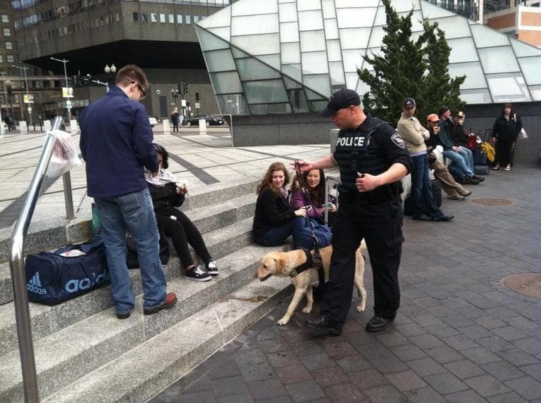 South Station bomb dogs 