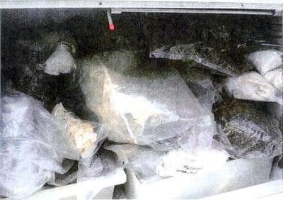 On Feb. 1, the inspector general's office found green vegetable matter and miscellaneous contents in a drying hood cabinet located in the now-closed Jamaica Plain drug laboratory, according to State Police documents.