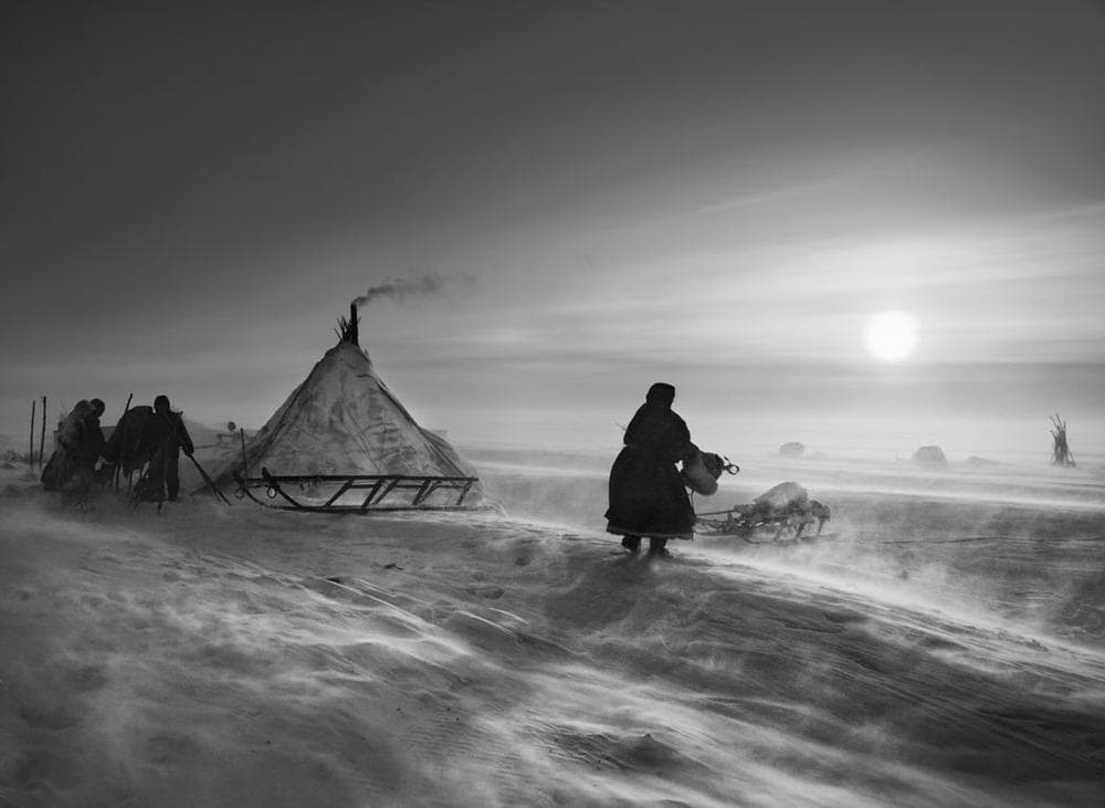 Detail from Sebastiao Salgado's &quot;Genesis&quot; project: &quot;North of the Ob River, about 100 kilometers inside the Yamal peninsula, fierce winds keep even daytime temperatures low. When the weather is particularly hostile, the Nenets and their reindeer may spend several days in the same place, doing repair work on sledges and reindeer skins to keep busy. The deeper they move into the Arctic Circle, the less vegetation is to be found. Inside the Arctic Circle. Yamal peninsula, Siberia. 2011.&quot; (Courtesy of Salgado)