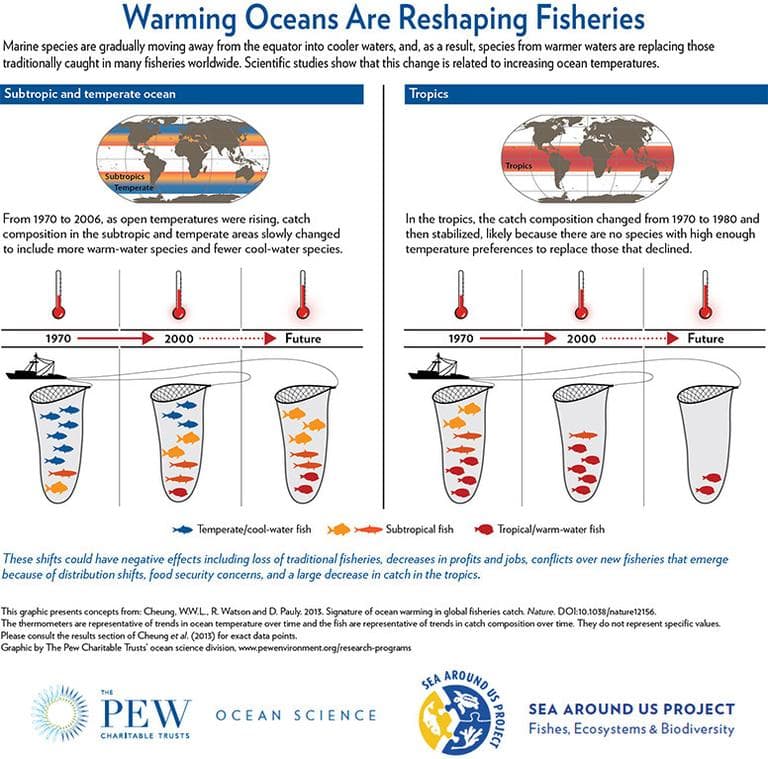 CLICK TO ENLARGE: This graphic shows how warming oceans have been reshaping fisheries since 1970. (Pew Ocean Science Division of The Pew Charitable Trusts)