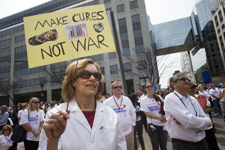 Lorraine Gudas, chair of pharmacology at Weill Cornell Medical College, participates in a &quot;Rally for Medical Research,&quot; Monday, April 8, 2013, in Washington. The rally focused on sequestration’s cuts to NIH funding, impacting patients, jobs, and research. (Jacquelyn Martin/AP)