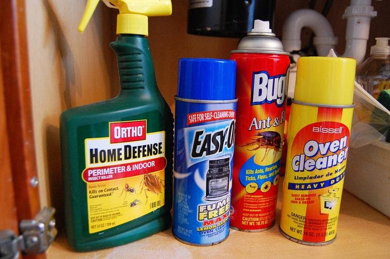Household cleaners and bug repellent. (chesbayprogram/Flickr)