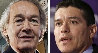 This panel of 2013 file photos show Democrat U.S. Rep. Ed Markey, left, and Republican Gabriel Gomez, right, candidates for U.S. Senate in the June 24, 2013 special election, being held to fill the seat vacated when John Kerry was appointed as secretary of state. (AP)