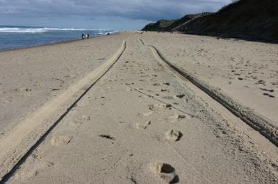 Tracks on the Beach of Cape Cod (Flickr/ReneS)
