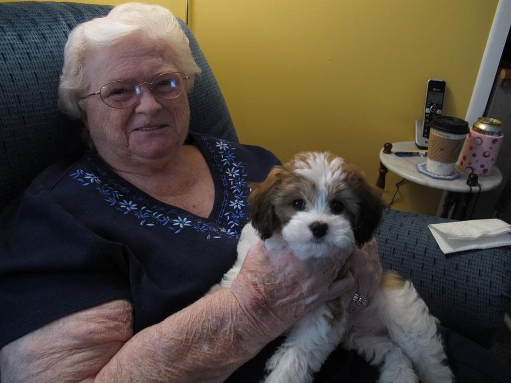 Dorothy Holmes, back home, with her new dog Jack. (Martha Bebinger/WBUR)
