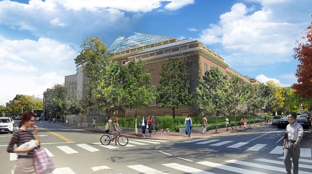 Harvard Art Museums renovation and expansion project, rendering from Broadway and Quincy Street. (Courtesy Renzo Piano Building Workshop)