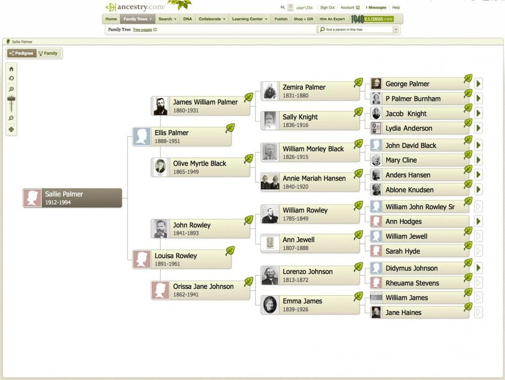 This undated image provided by Ancestry.com shows a family tree made on the genealogy website Ancestry.com which agreed to be acquired by a group led by European private equity firm Permira Funds in a cash deal valued at about $1.6 billion on Monday, Oct . 22, 2012. (AP)