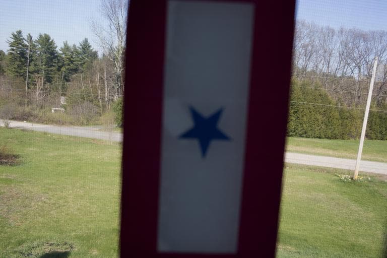A Blue Star Mothers flag hangs in the window of Nelson's home. (M. Scott Brauer/Public Insight Network)