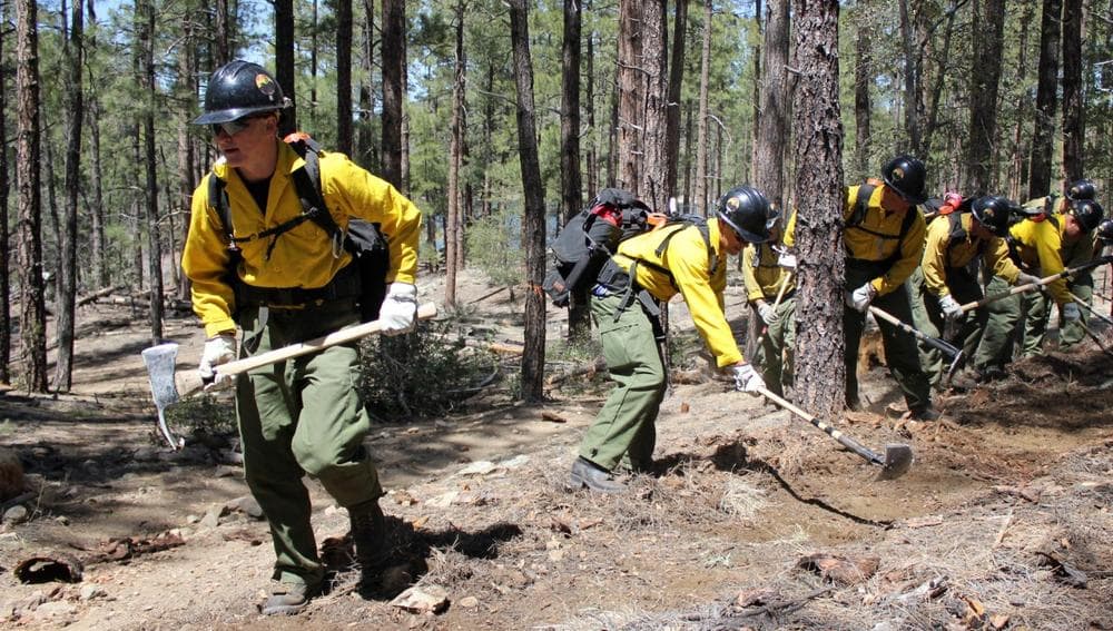 In this 2012 photo provided by the Cronkite News, the Granite Mountain Hotshot crew clears a fire line through the forest. On Sunday, June 30, 2013. (Connor Radnovich/Cronkite News via AP)